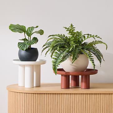 Plant Kween Metal Plant Stand | West Elm (US)