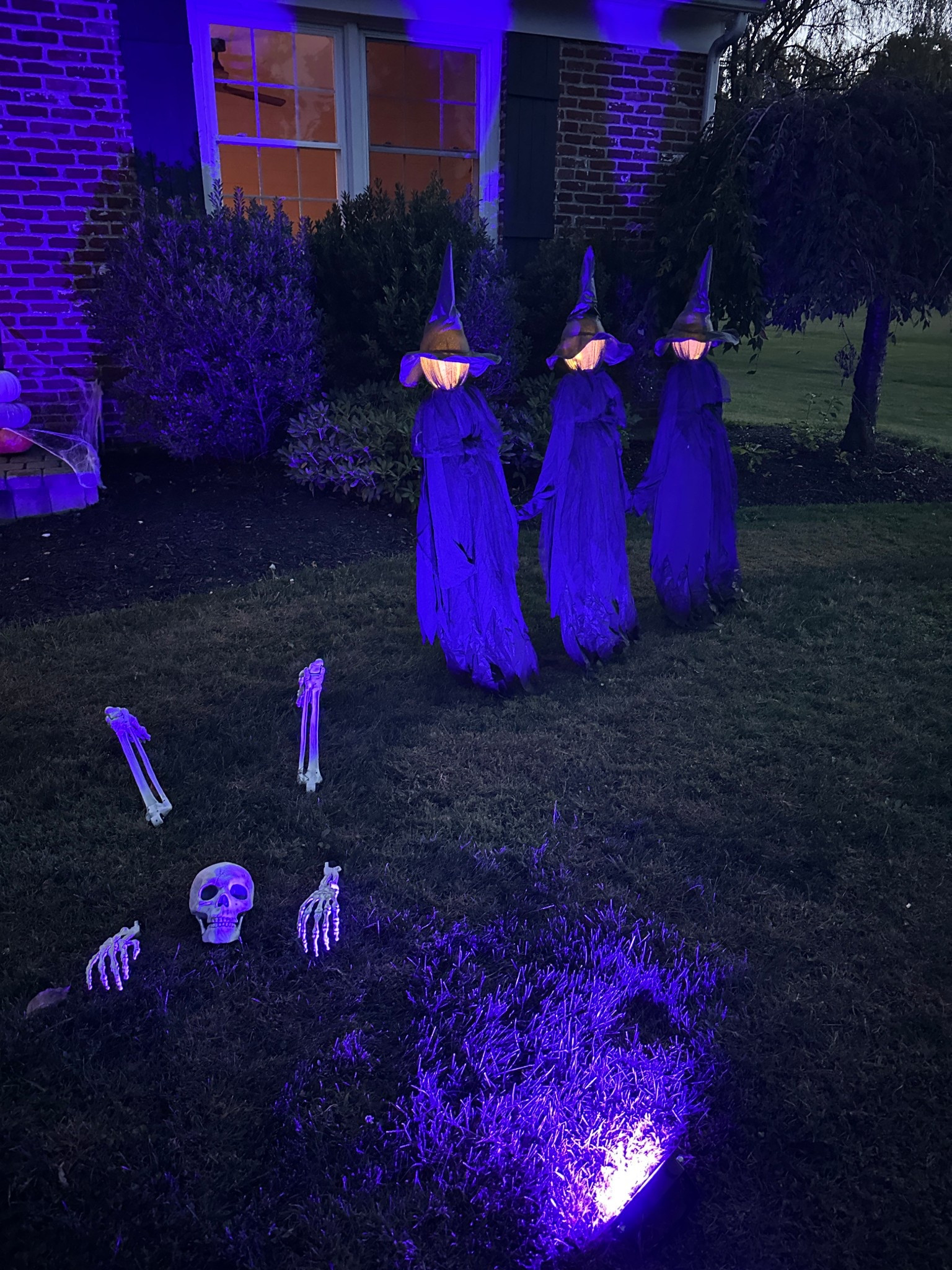 The witches that exceeded my expectations 

#LTKFallSale #LTKHome #LTKSeasonal
