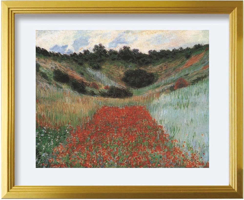 Mikosha 386539 Art Panel Claude Monet Field of Poppies at Giverny ZFA-62345 | Amazon (US)