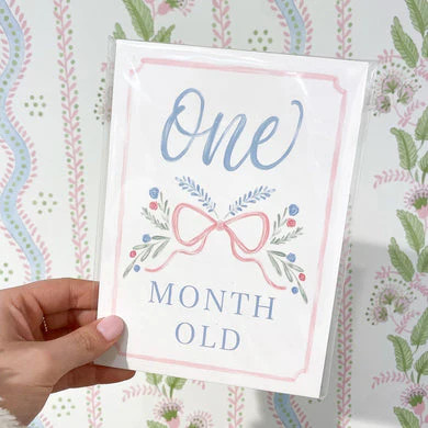 Hamner Hill Pretty in Pink Milestone Cards | Persnickety