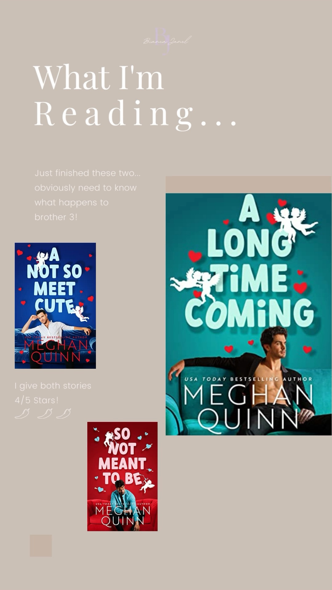 Books of 2023 to Read! 
#biancajanel #romancebooks #spicybooks 

#LTKGiftGuide #LTKFind #LTKunder50