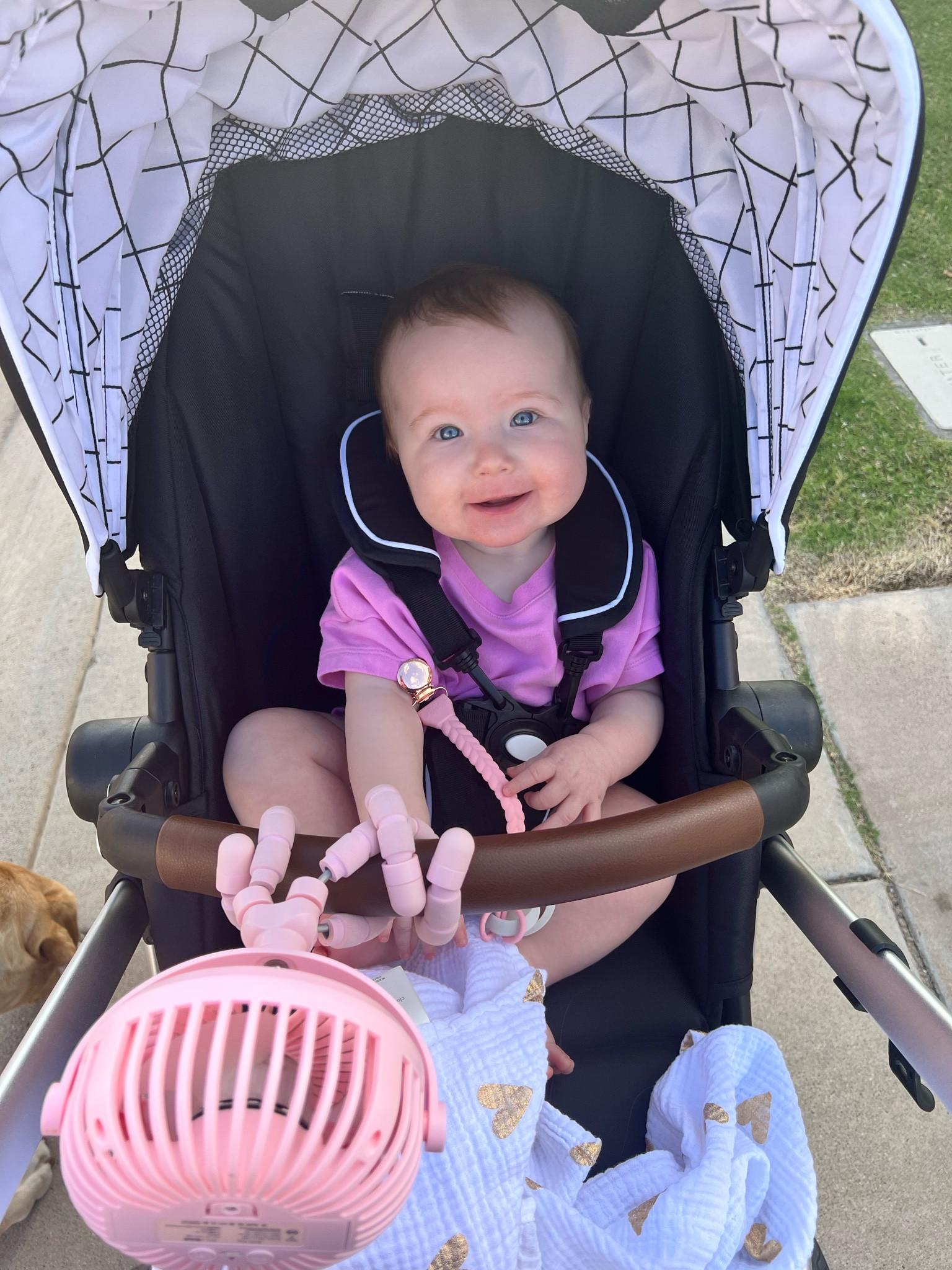 A brisk stroll with my little one, and we've got all the essentials right at our fingertips! 👶🌿 From snacks to soothing toys, we're ready for a quick adventure together. #MomLife #OnTheGoWithBaby #StrollerEssentials

#LTKbaby