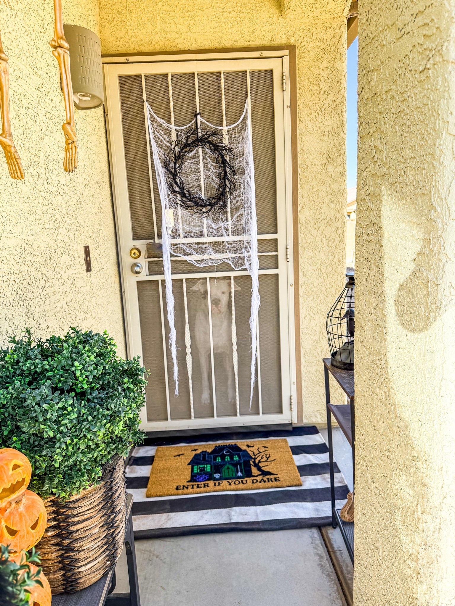 Little Target Halloween haul for the front porch 🎃 
Linked a similar black wreath. The one I snagged might be out of stock at your local stores. Sadly, it’s not even available for shipping. 
But how adorable is that haunted house doormat!! 👏🏼👏🏼 

#TargetHalloween #TargetFinds #Target

#LTKSaleAlert #LTKHome #LTKHalloween