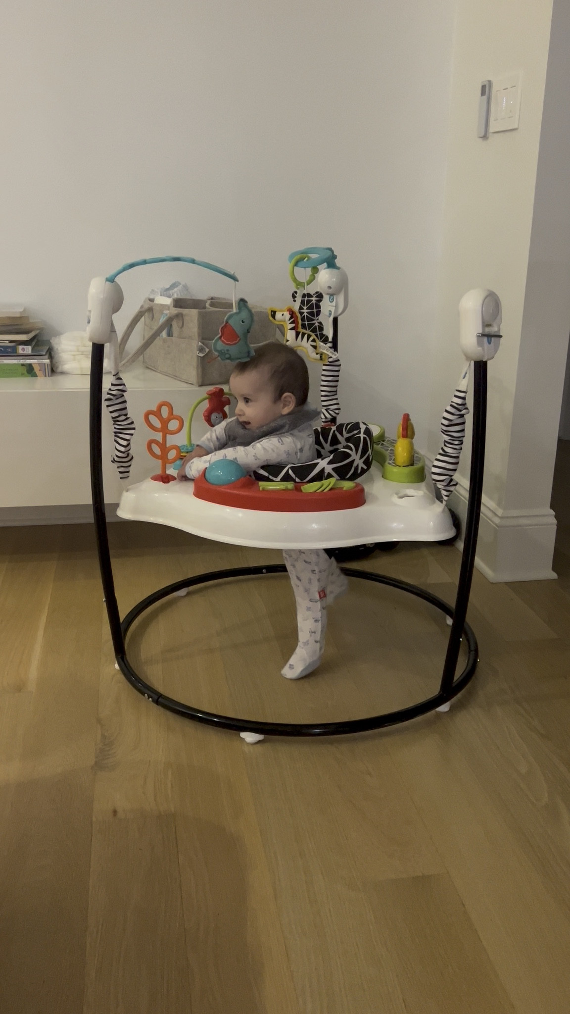 Jumper


#LTKFamily #LTKBaby #LTKKids