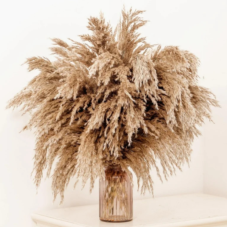 SREED 20 Pcs 23 Inch Tall Fluffy Pampas Grass XL Size Brown Dry Pompous Grass Decor Wedding Flowe... | Walmart (US)