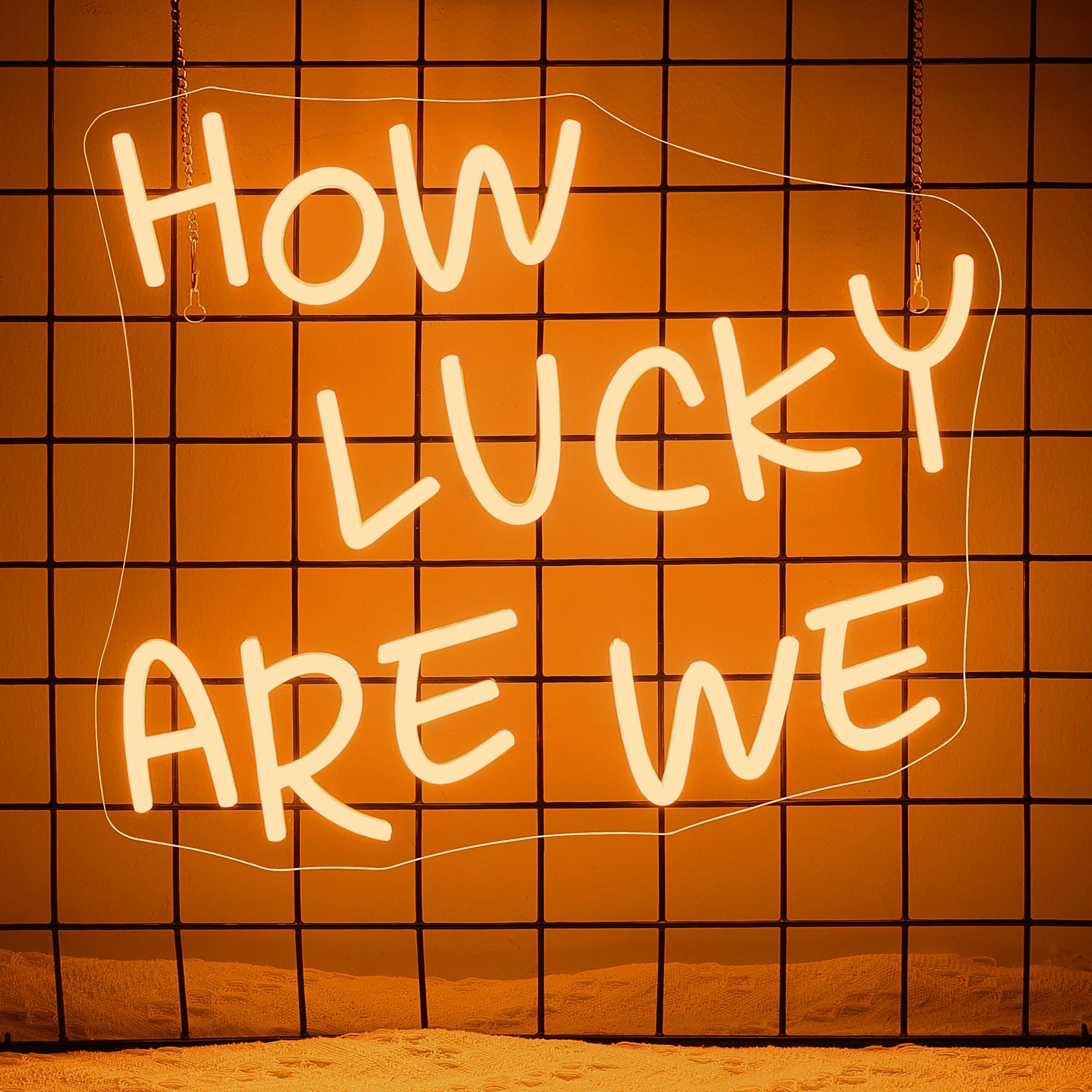 NOSUN How Lucky Are We Neon Sign Lucky Light Signs, Warm White Neon Signs for Wall Decor, Lucky L... | Amazon (US)