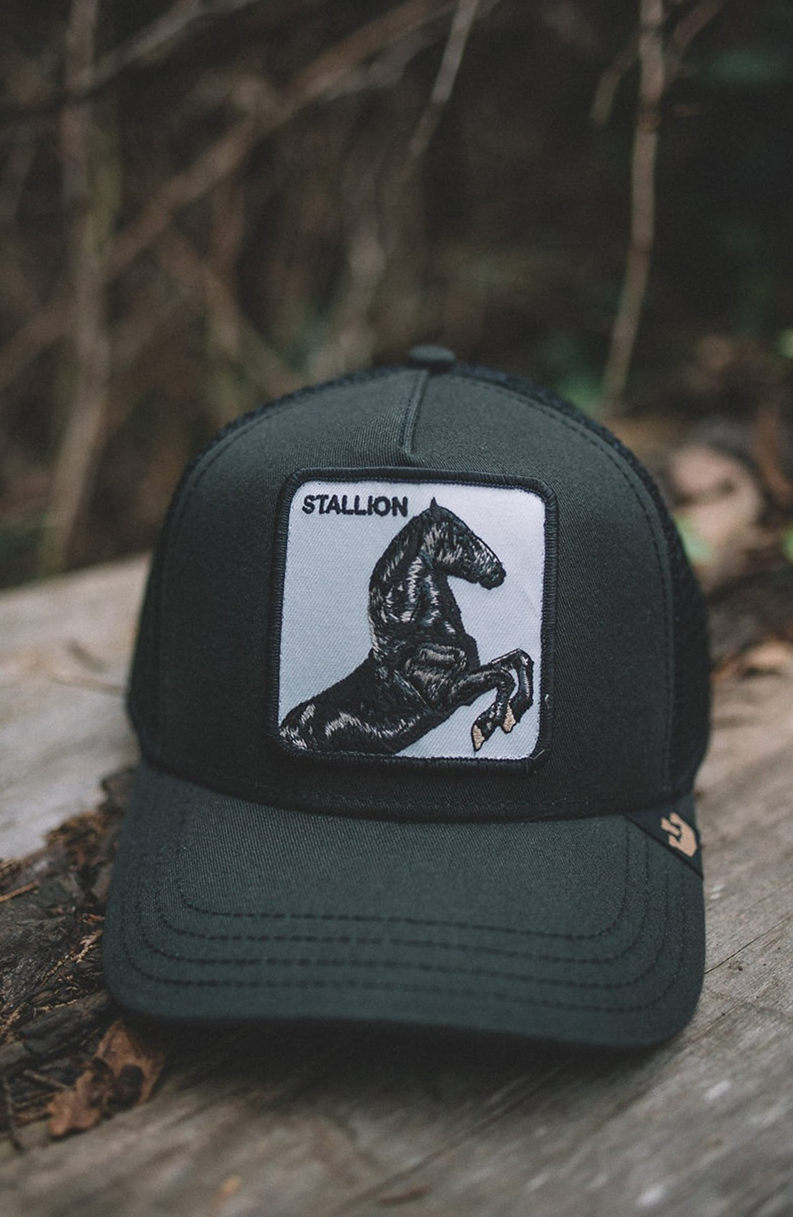 Stallion Trucker Hat | Nordstrom