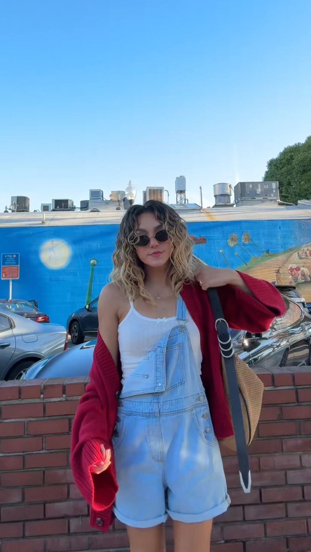 overall obsessed ♥️

#LTKstyletip #LTKVideo #LTKSeasonal