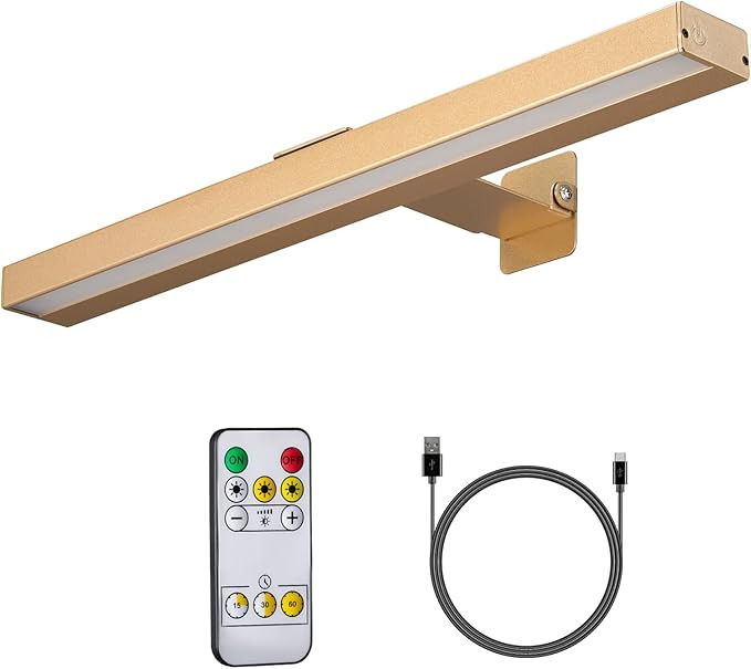 MIOBLUE Wireless Picture Lights with Remote, Recgargeable Battery Painting Light Display Lamp wit... | Amazon (US)