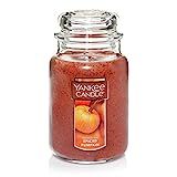 Yankee Candle Spiced Pumpkin Scented, Classic 22oz Large Jar Single Wick Candle, Over 110 Hours o... | Amazon (US)