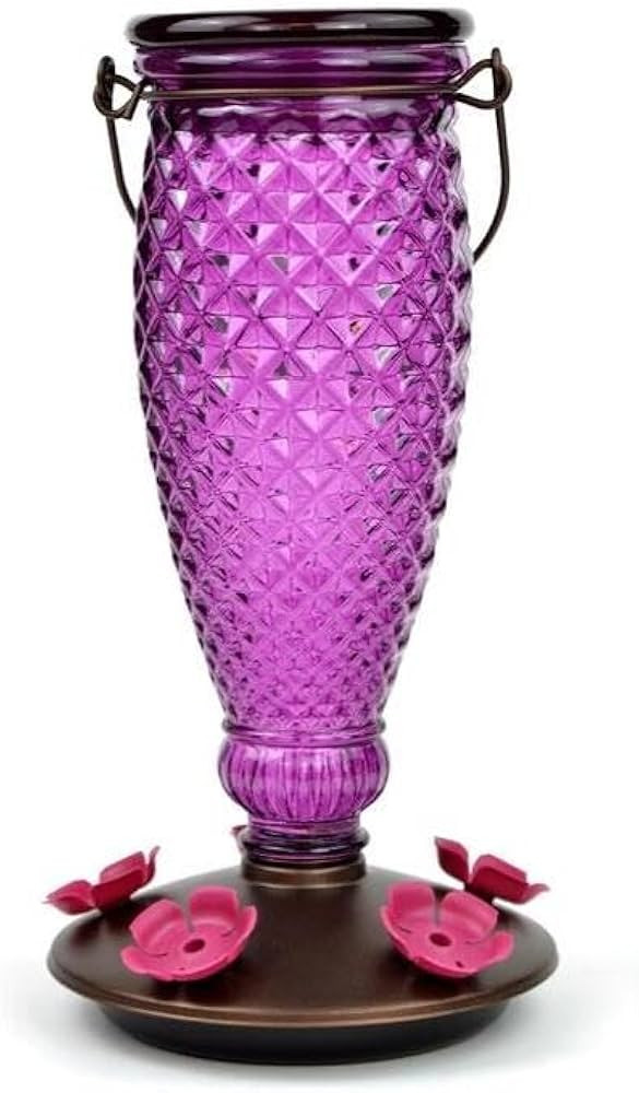 Perky-Pet Diamond Wine Top Fill Glass Hummingbird Feeder with Built-in Bee Guards - Outdoor Garde... | Amazon (US)