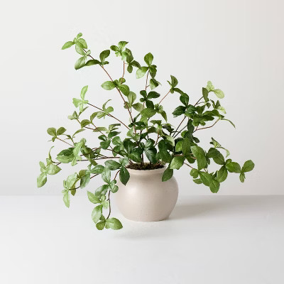 Large Green Gypsophila Artificial Plant - Hearth & Hand™ with Magnolia | Target