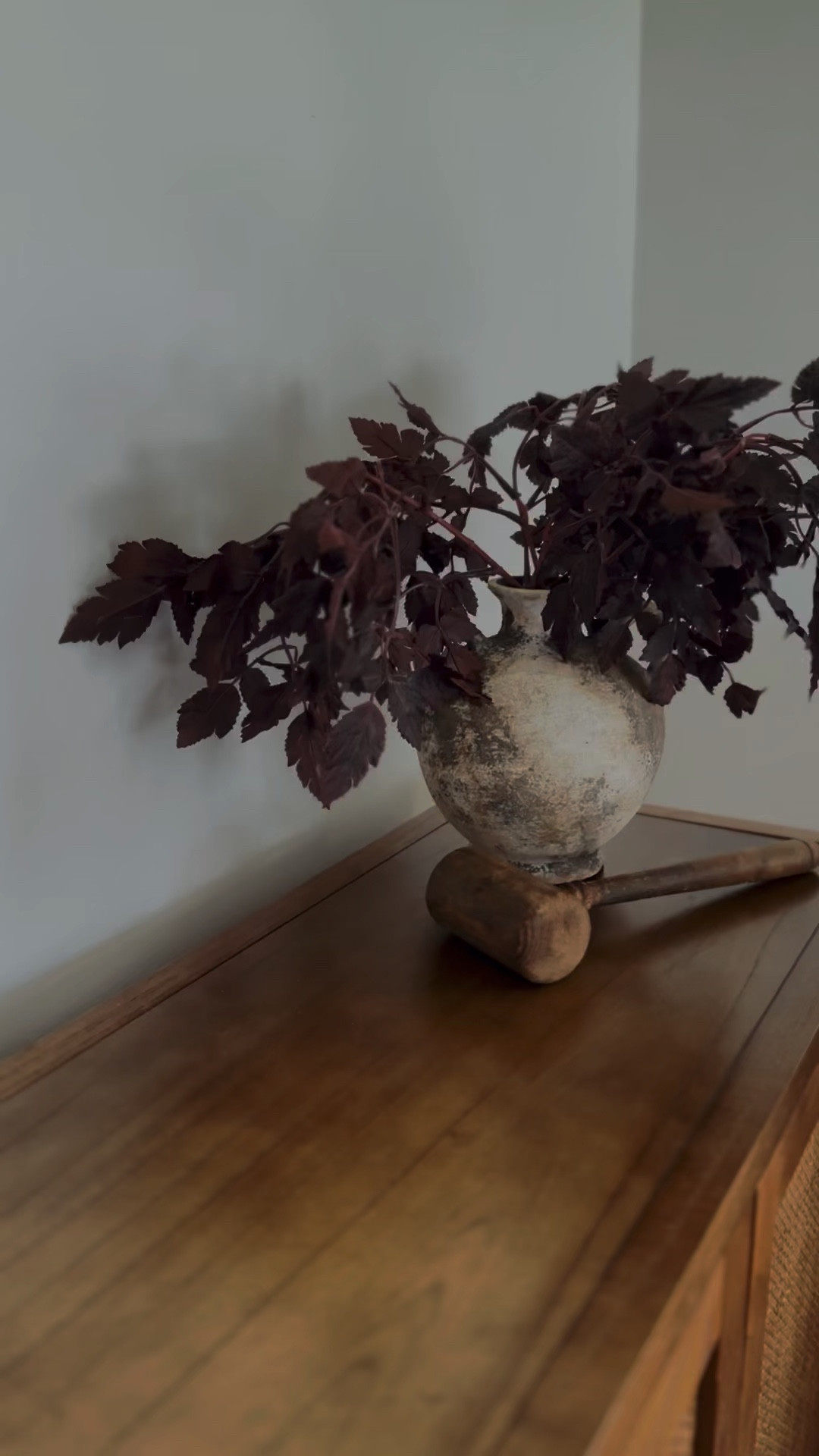 OBSESSED with these Afloral stem look a-likes and the stunning hobby lobby vase for an affordable, expensive look.  

#LTKHome #LTKVideo #LTKStyleTip