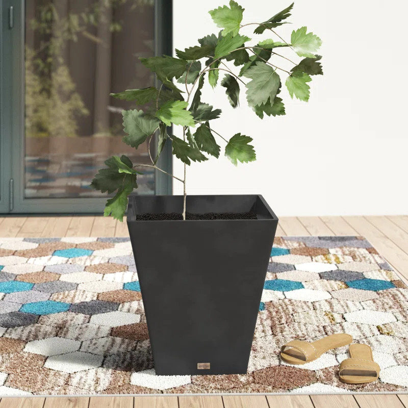 Pure Series Plastic Pot Planter | Wayfair North America