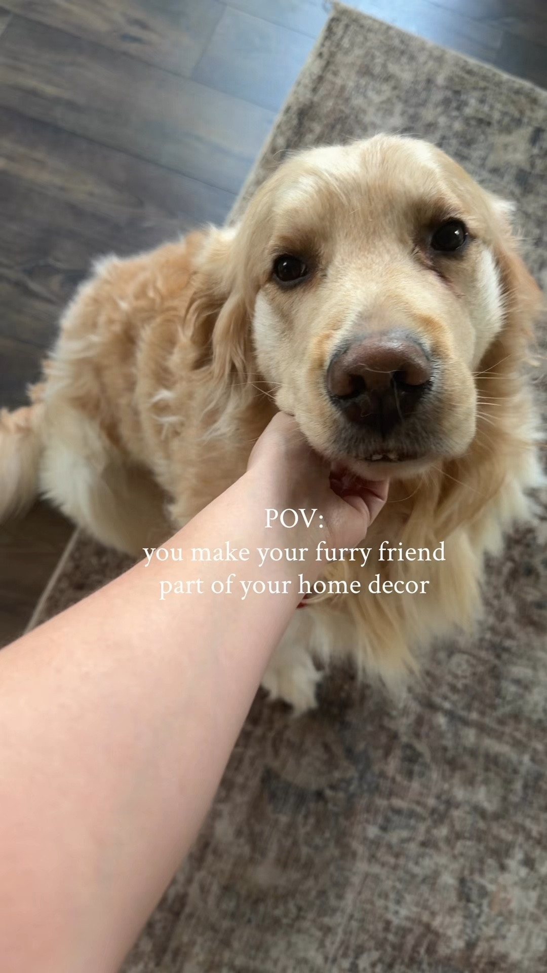 Golden retriever decor art 

#LTKHome