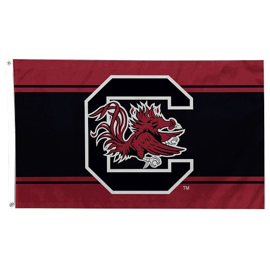 College Reversible Flag | Pottery Barn Teen