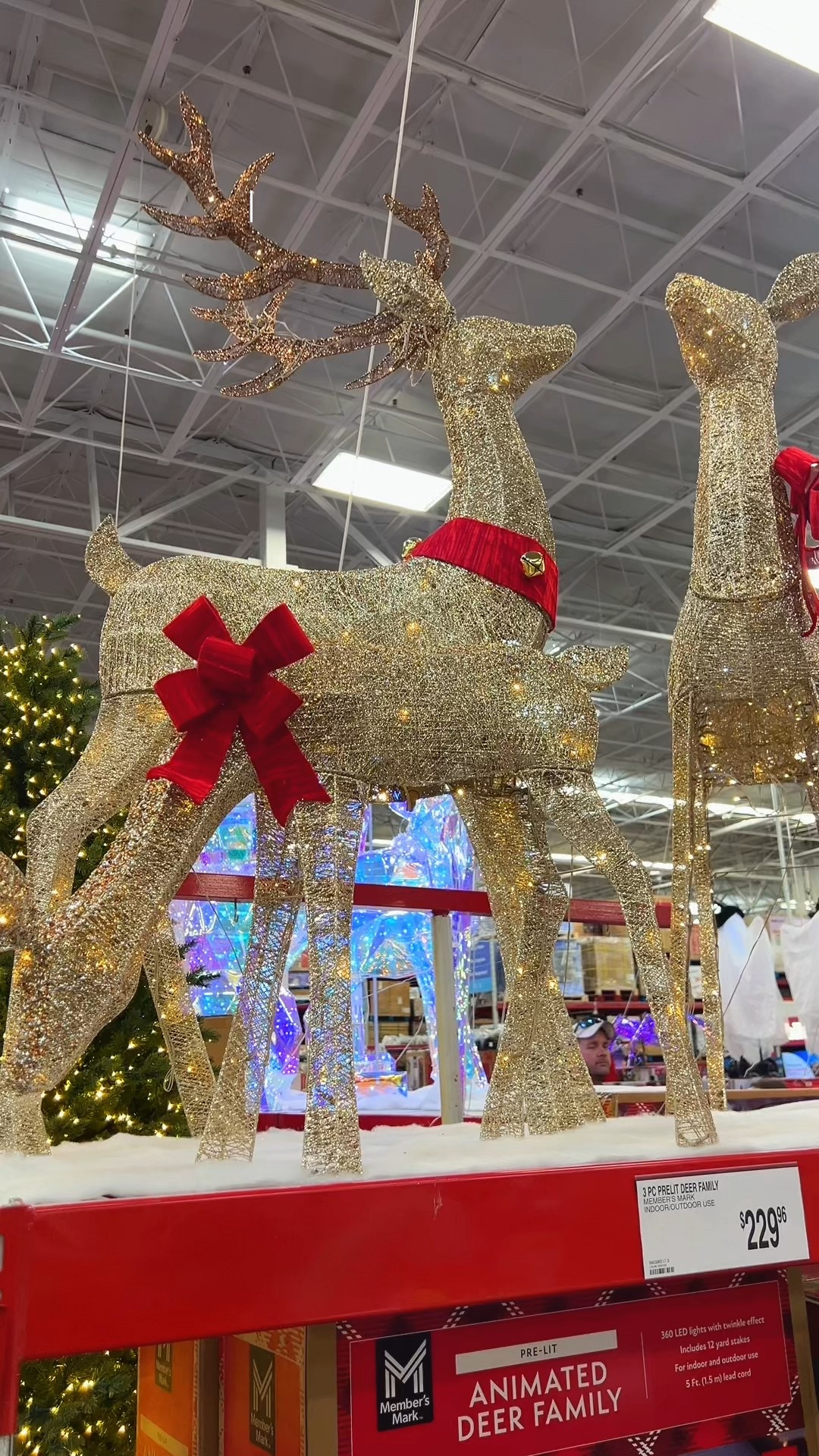 So many goodies at Sam’s Club today for Christmas decor indoors and outdoors. I even found some additional goodies online only! Too good not to share. :)

#LTKHome #LTKSeasonal