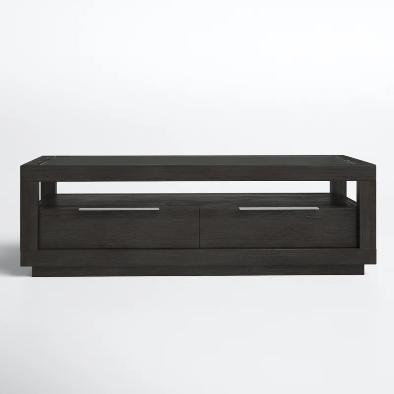 Santiago Coffee Table with Storage | Wayfair North America