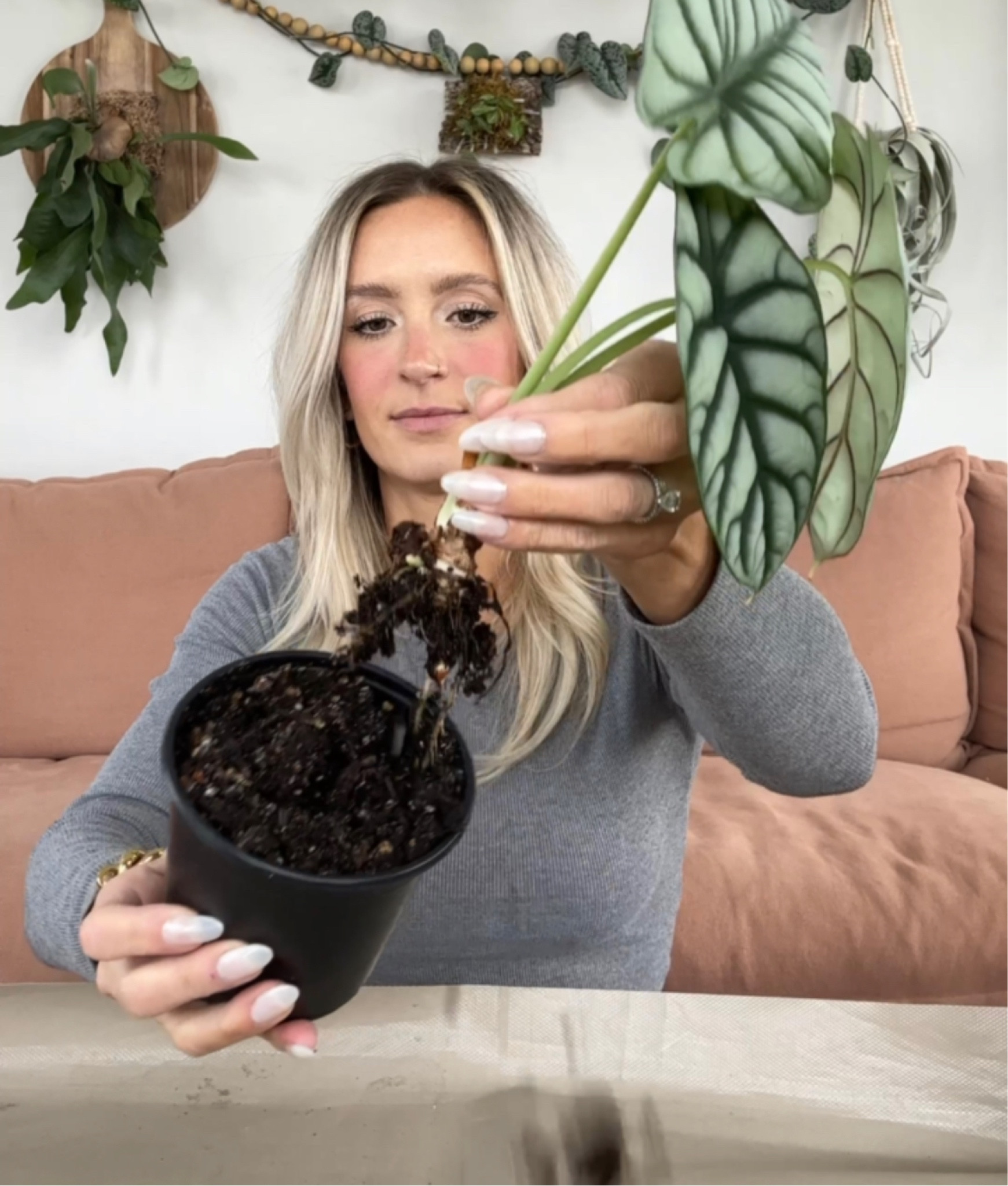 Walmart pots you love part 2! 

#LTKSeasonal #LTKhome #LTKFind