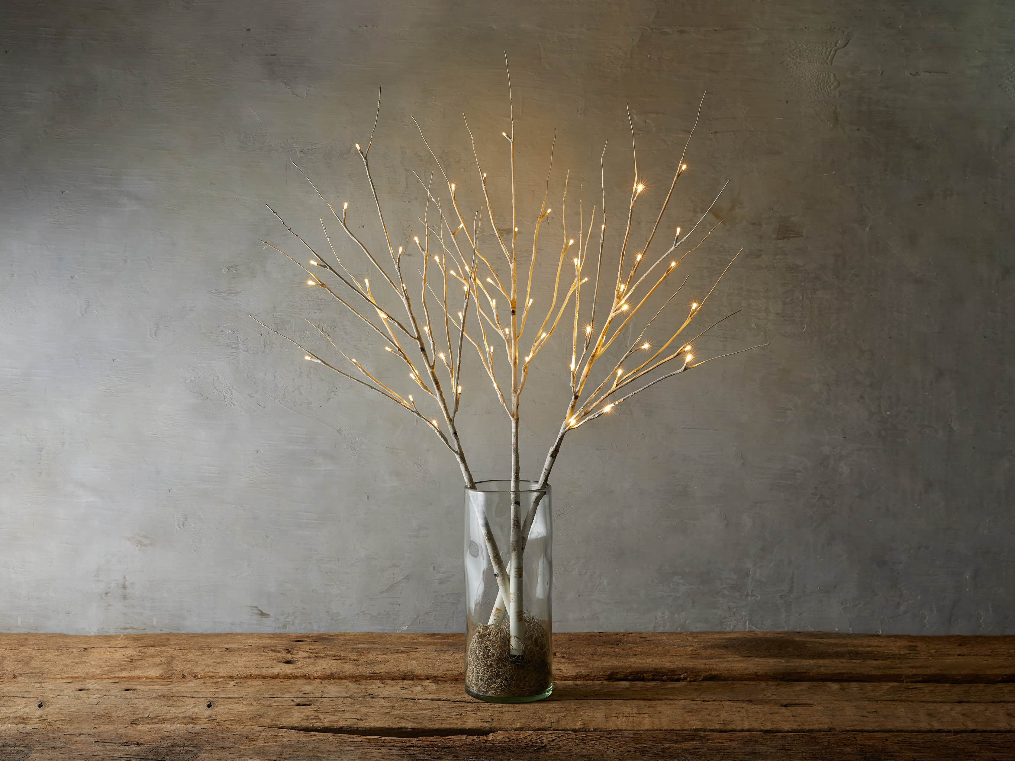 Aurora Lighted Birch Branch | Arhaus
