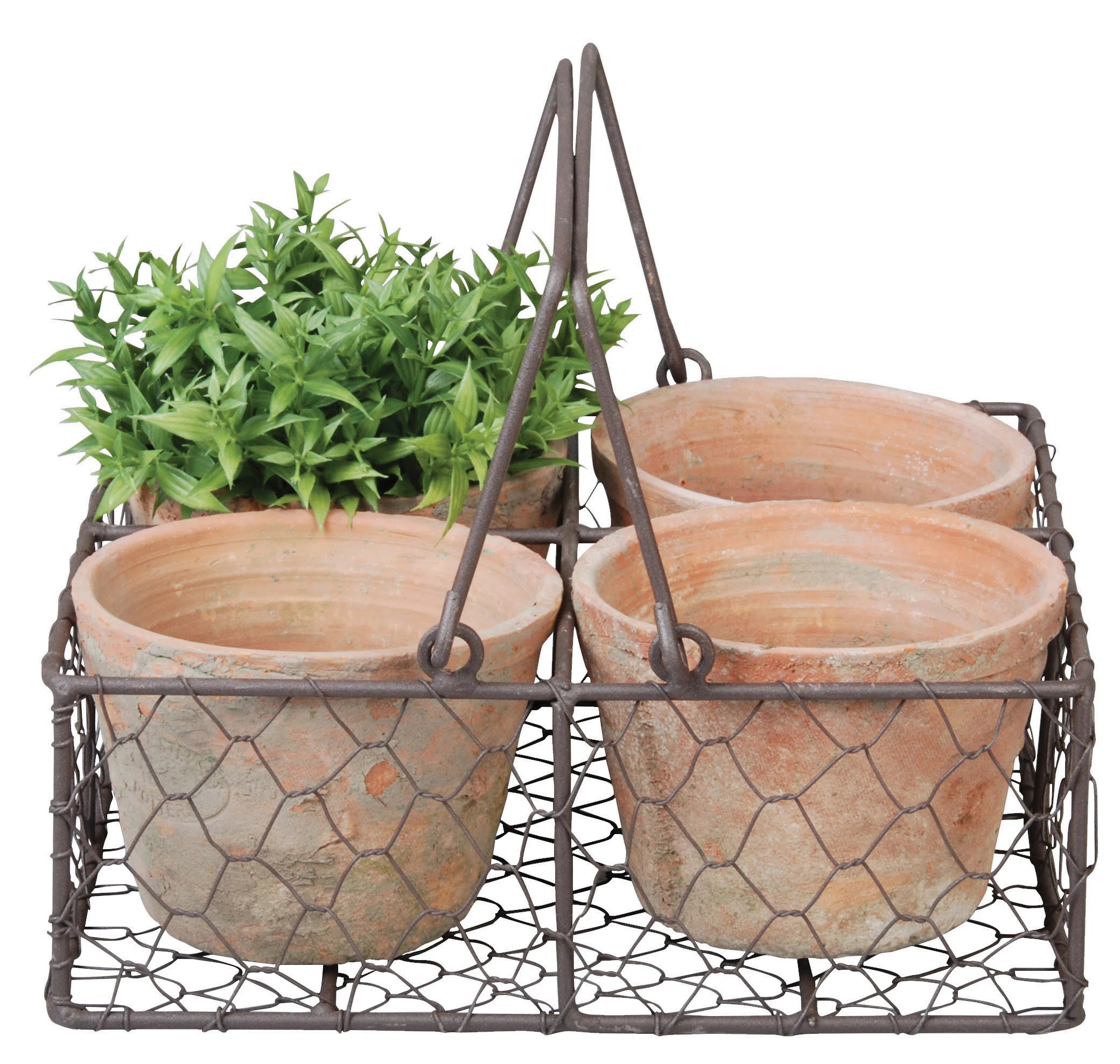 Olaughlin Terracotta Pot Planter | Wayfair North America