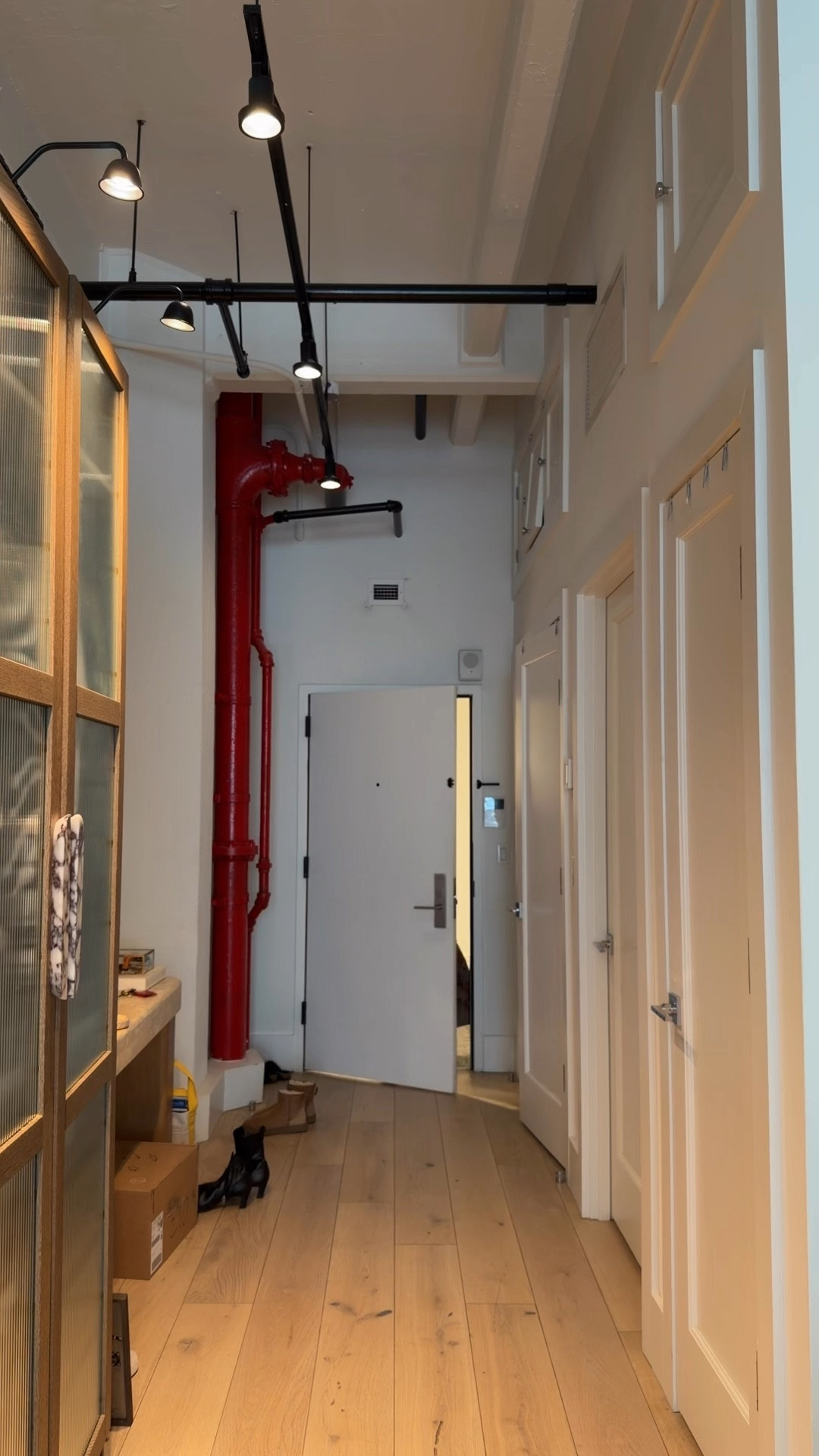 Post rot day apartment reset! 