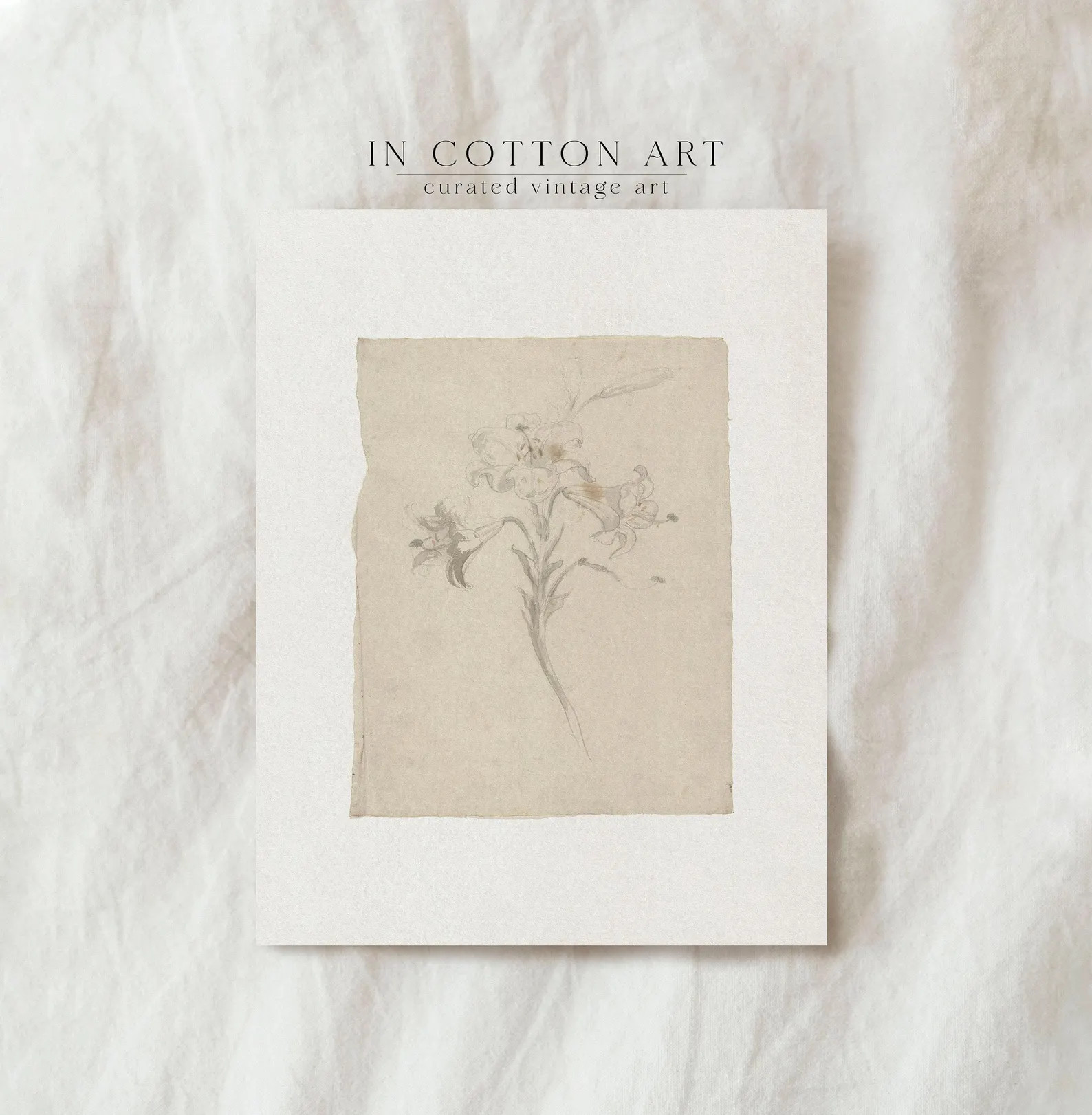 Beige Botanical Print Vintage, Lily Sketch, Lily Drawing Vintage, Printable Beige Minimal Botanic... | Etsy (US)