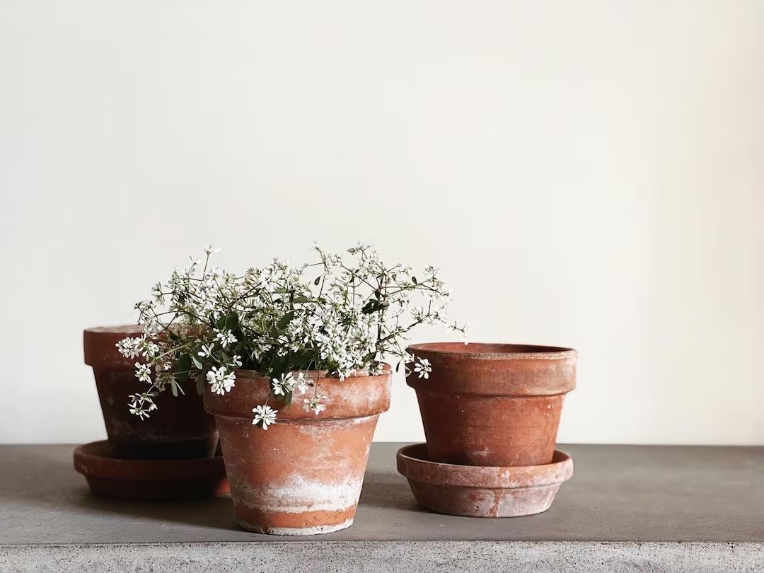 VINTAGE | assorted small terracotta pots | authentic aged terracotta planters | modern farmhouse ... | Etsy (US)
