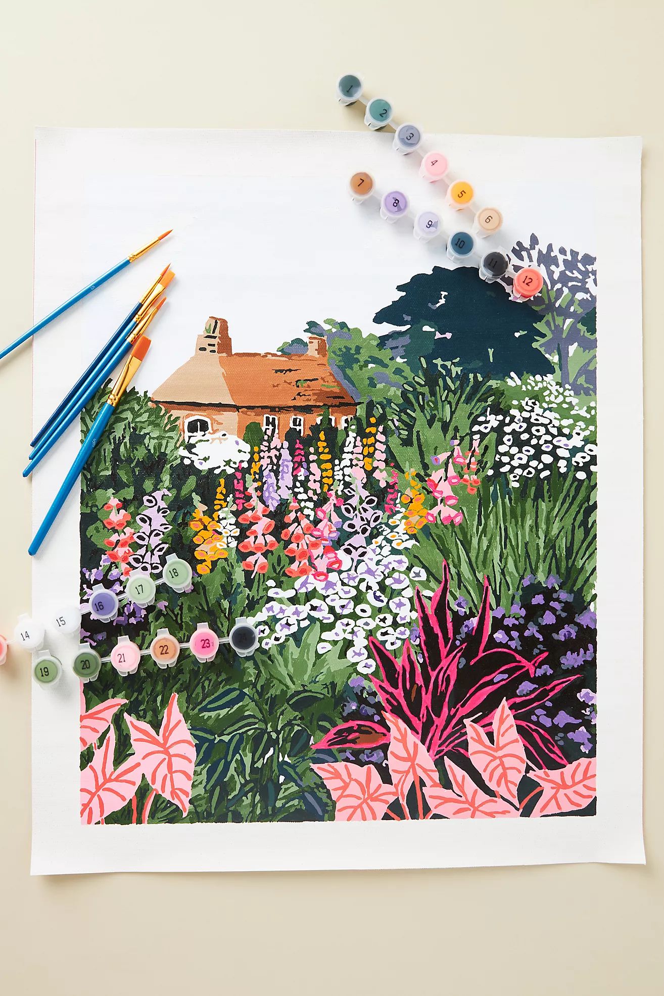 Adult Paint-By-Numbers Kit | Anthropologie (US)