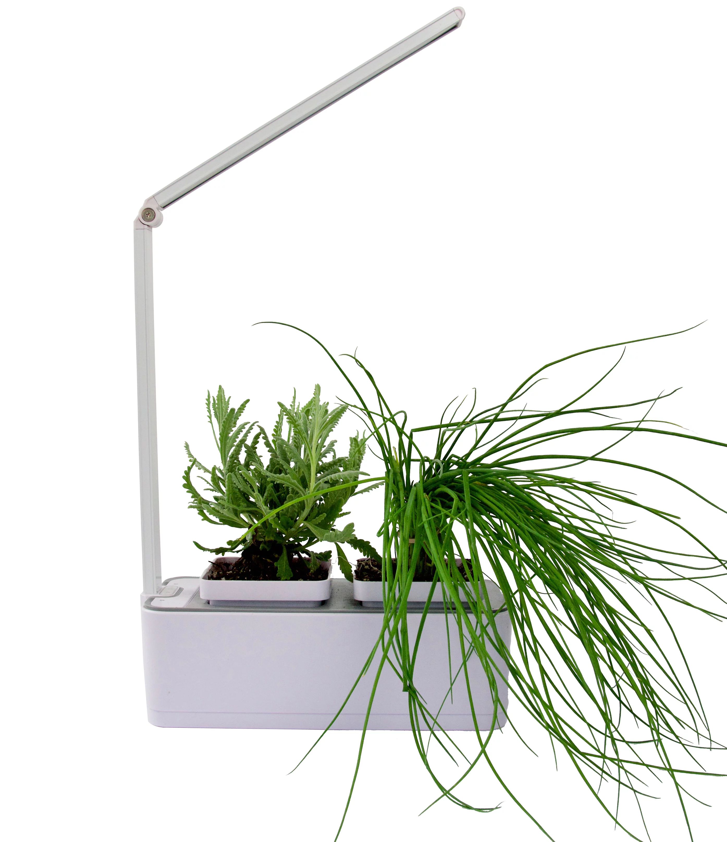 Indoor Herb & Houseplant LED Hydroponic Grow Kit | Walmart (US)