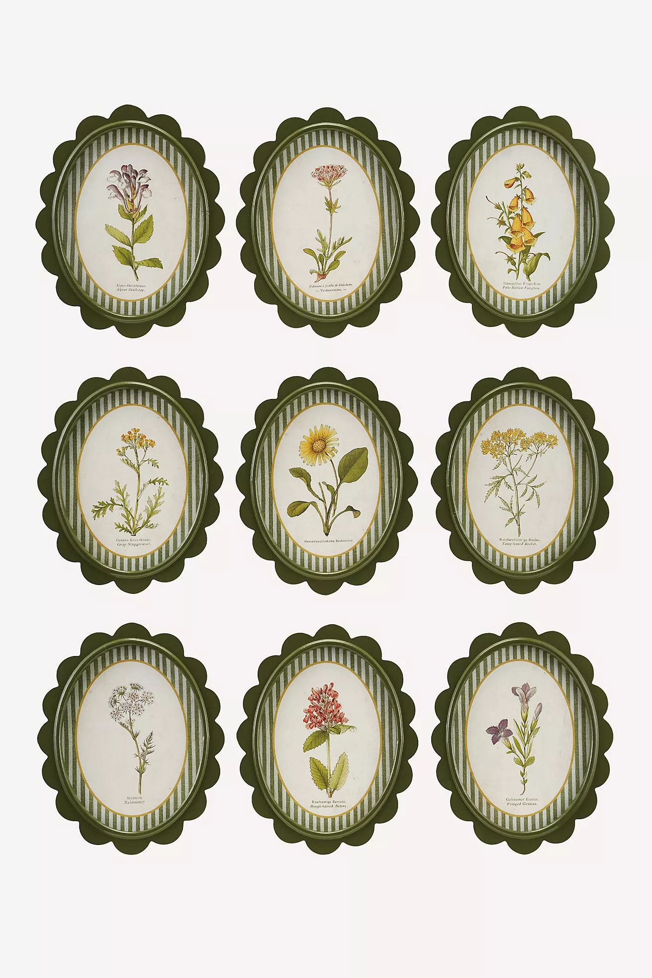 9-Piece Oval Wood-Framed Wall Charms | Anthropologie (US)