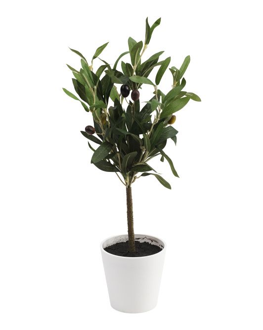 18in Olive Tree In Pot | Plants & Planters | Marshalls | Marshalls