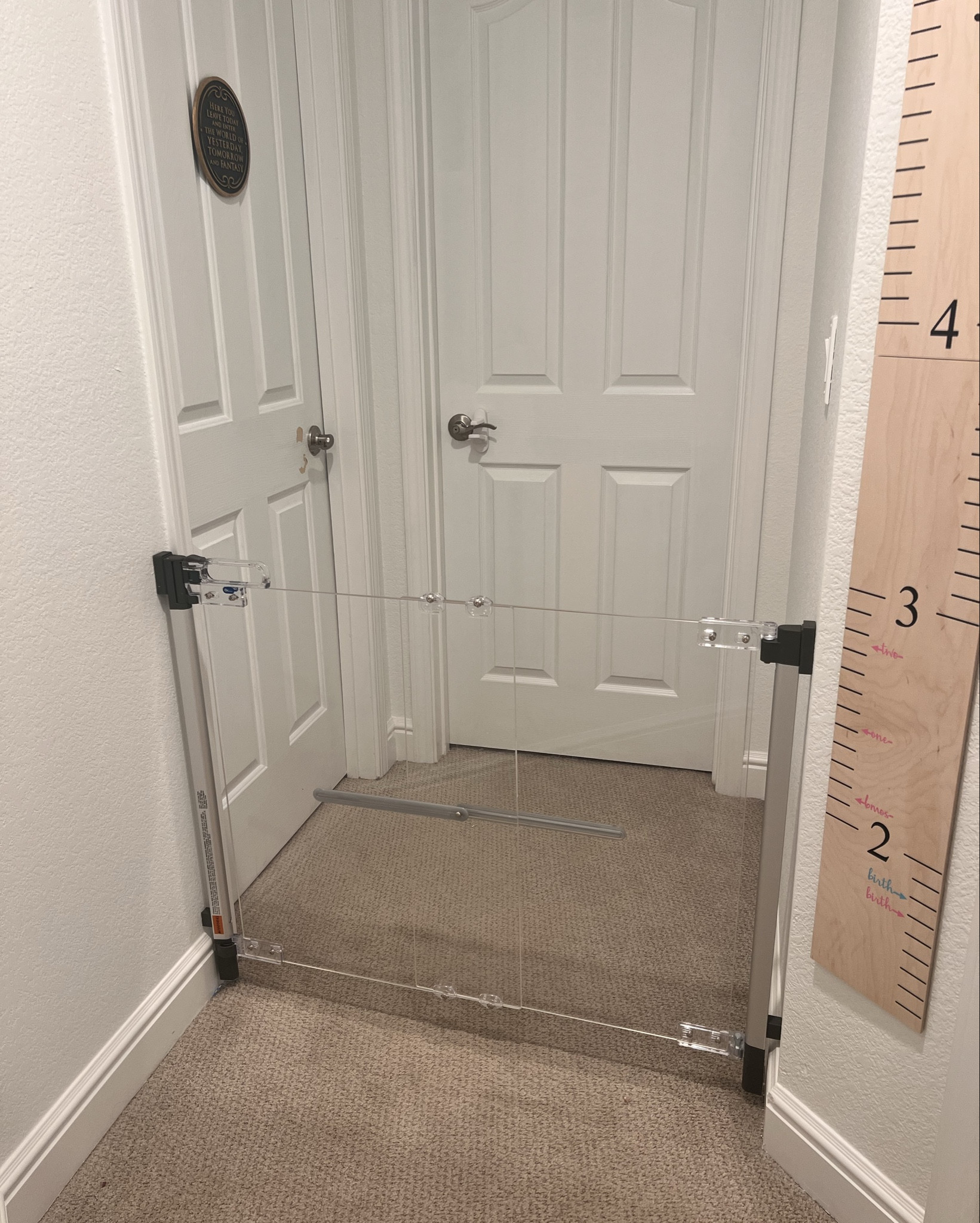Clear Baby Gate

#LTKBump #LTKBaby #LTKFamily