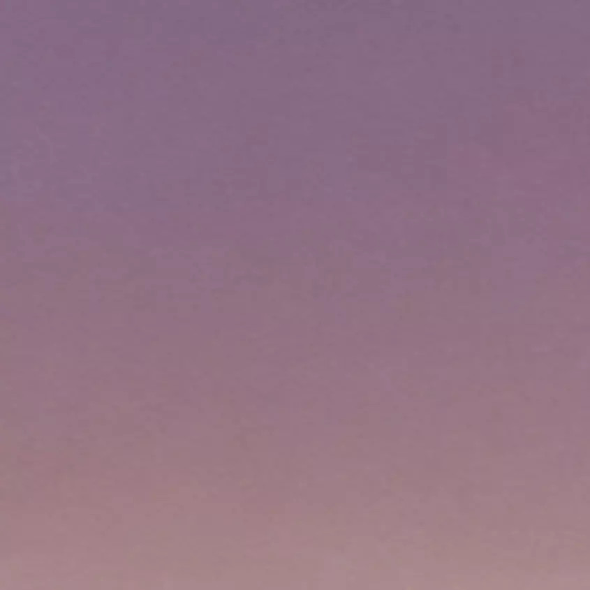 Gryffon Square Sunglasses | Buckle