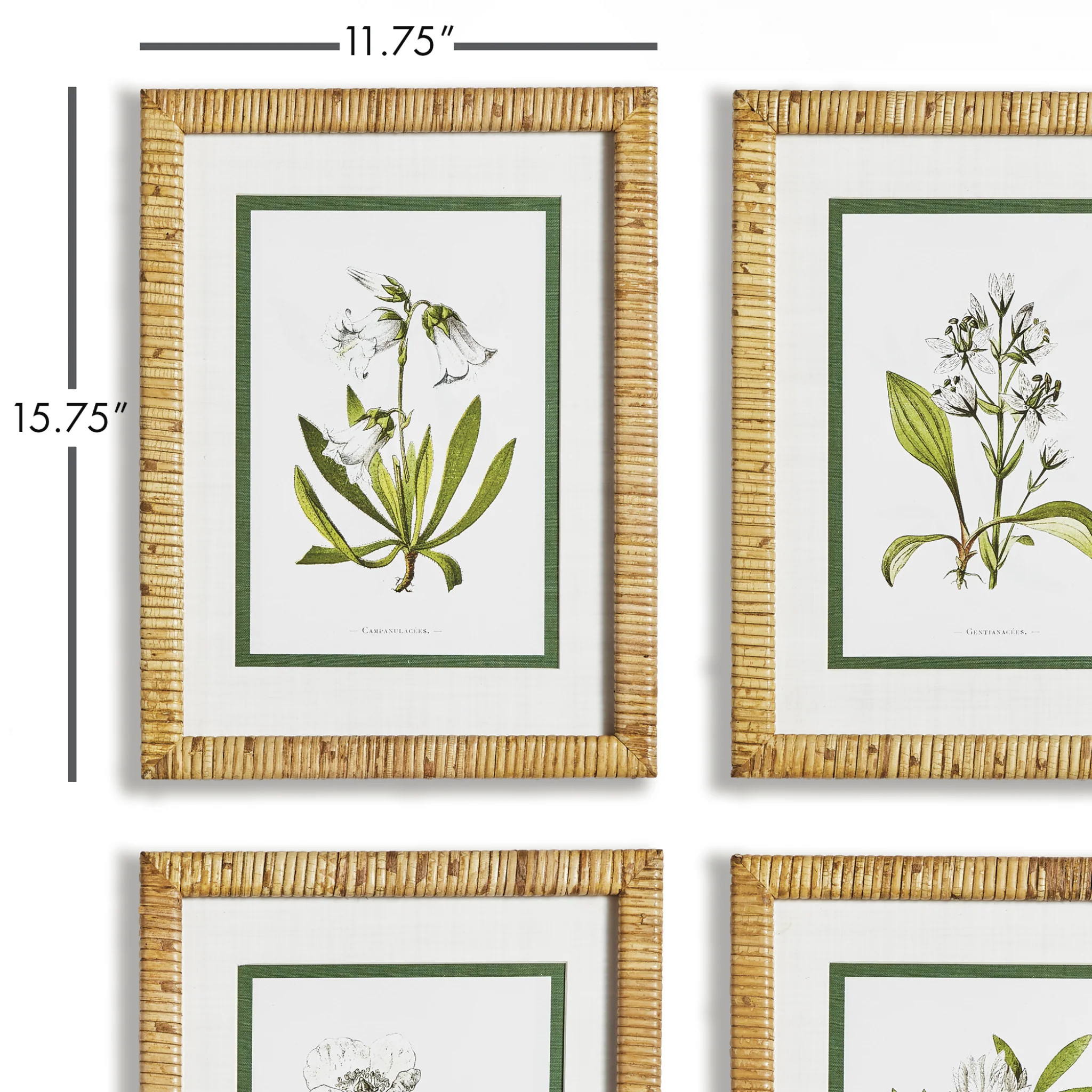 Set of Four Framed White Floral Study Prints Wall Art | The Well Appointed House, LLC