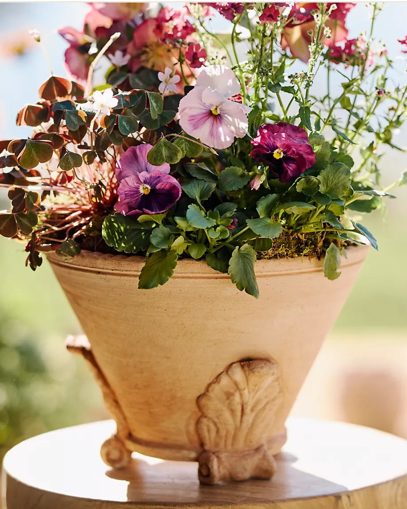 Leaf Footed Galestro Pot
Myyyyy goodnessss!
Beautiful footed terracotta pot!
I adore the feet- always!
It’s on the pricer side- but 10% off first order or watch for limited sales!