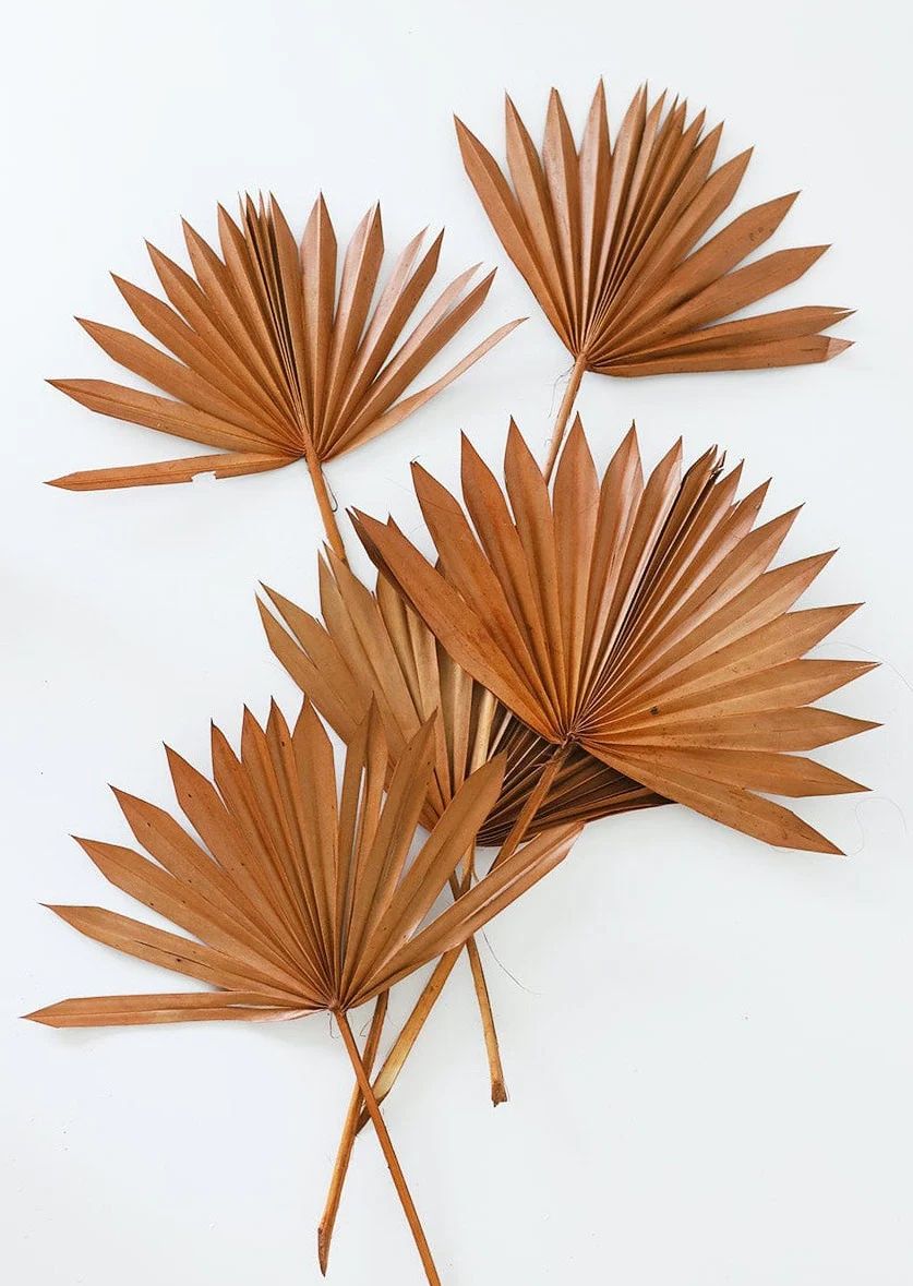 Pack of 5 - Terracotta Orange Sun Palms | Afloral (US)