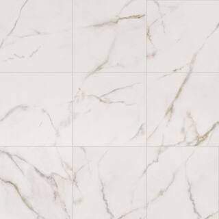 MSI Leonardo Luccia 24 in. x 24 in. Matte Porcelain Floor and Wall Tile (16 sq. ft./Case) NHDLEOL... | The Home Depot