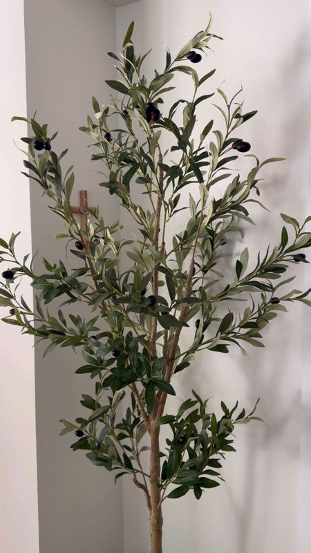 If you were like me, and I’ve been looking for an olive tree, that looks real, you finally found it. Shop it here you will not be disappointed.

#LTKfindsunder100 #LTKhome #LTKstyletip