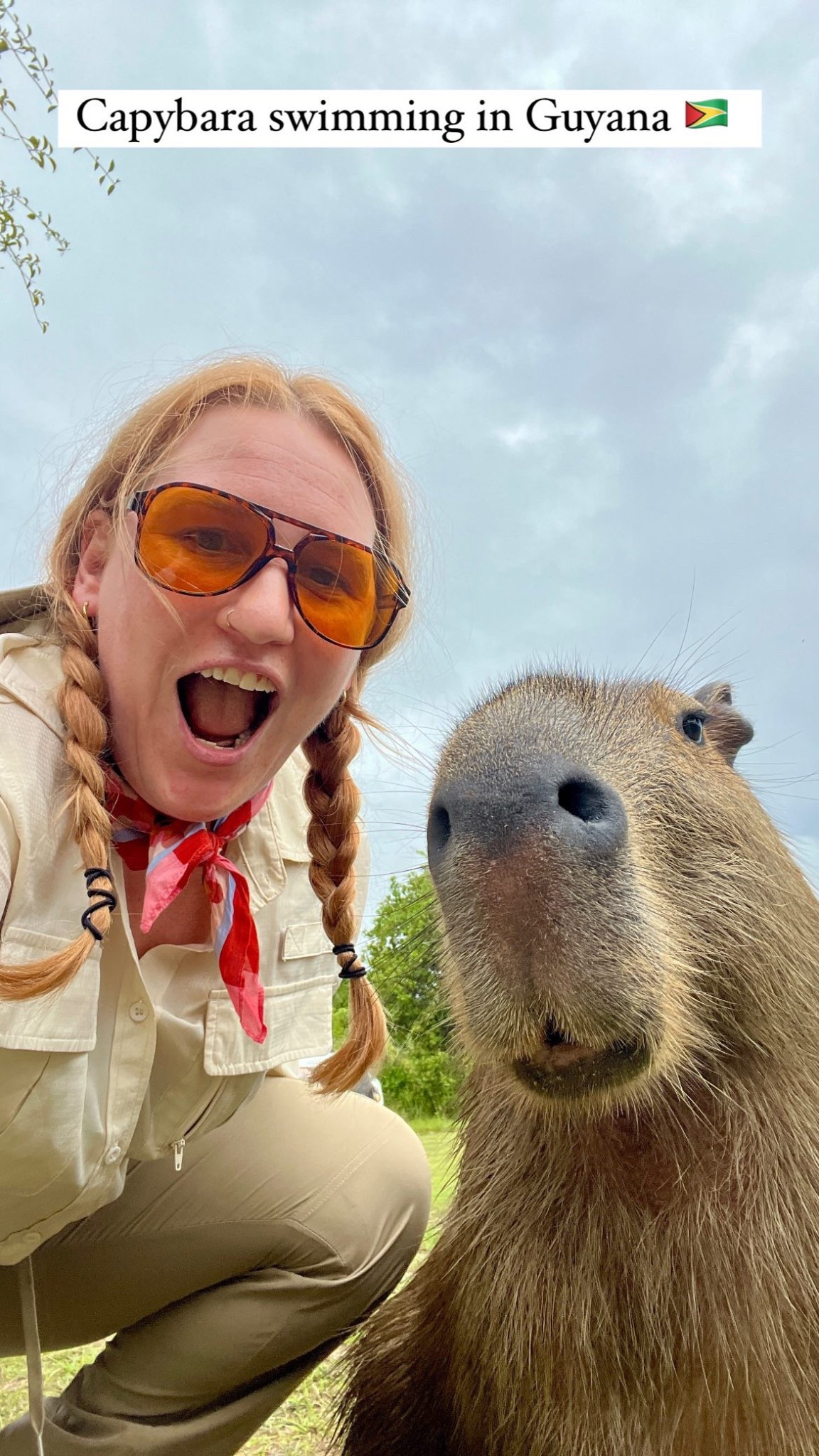 CAPYBARA!! They're cuddly, who knew?? 😱 #capybara #guyana #guyana🇬🇾