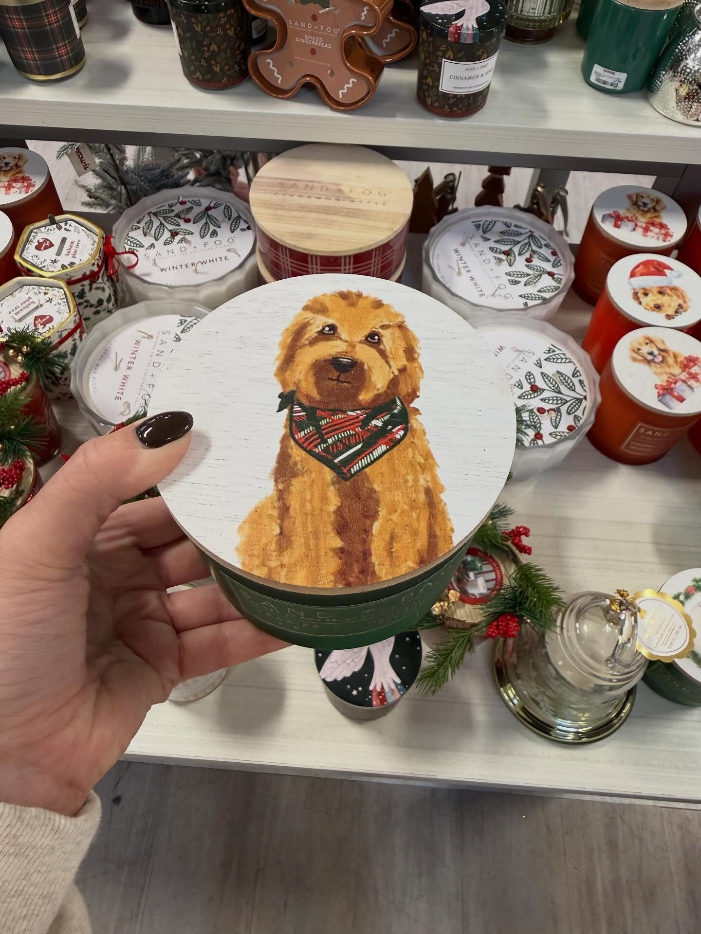 The Louis candle is online at @tjmaxx 🥹 swipe to see new arrivals & some more of my latest finds in store! say NEED below for the 🔗s

follow @tarjaymaxx for more #target + #tjmaxx finds🫶🏼

#tjmaxxfinds #tjmaxxdeals #tjmaxxclearance #marshallsfinds #maxxinista #tjmaxxaddict #tjmaxxhaul #homegoods #homegoodshappy #tjmaxxfind #tjmaxxstyle tj maxx finds , tj maxx