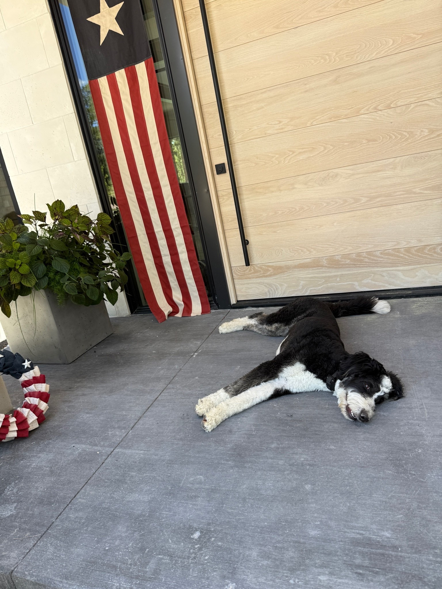 Getting the front porch together for the Fourth of July. I used glass suction cups to hang the Heritage Banner Flags in each side of the door.

#LTKdayinmylife #LTKSeasonal #LTKHome