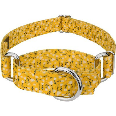 Country Brook Petz Spring Cottagecore Martingale Dog Collar (1 Inch, Large) | Target