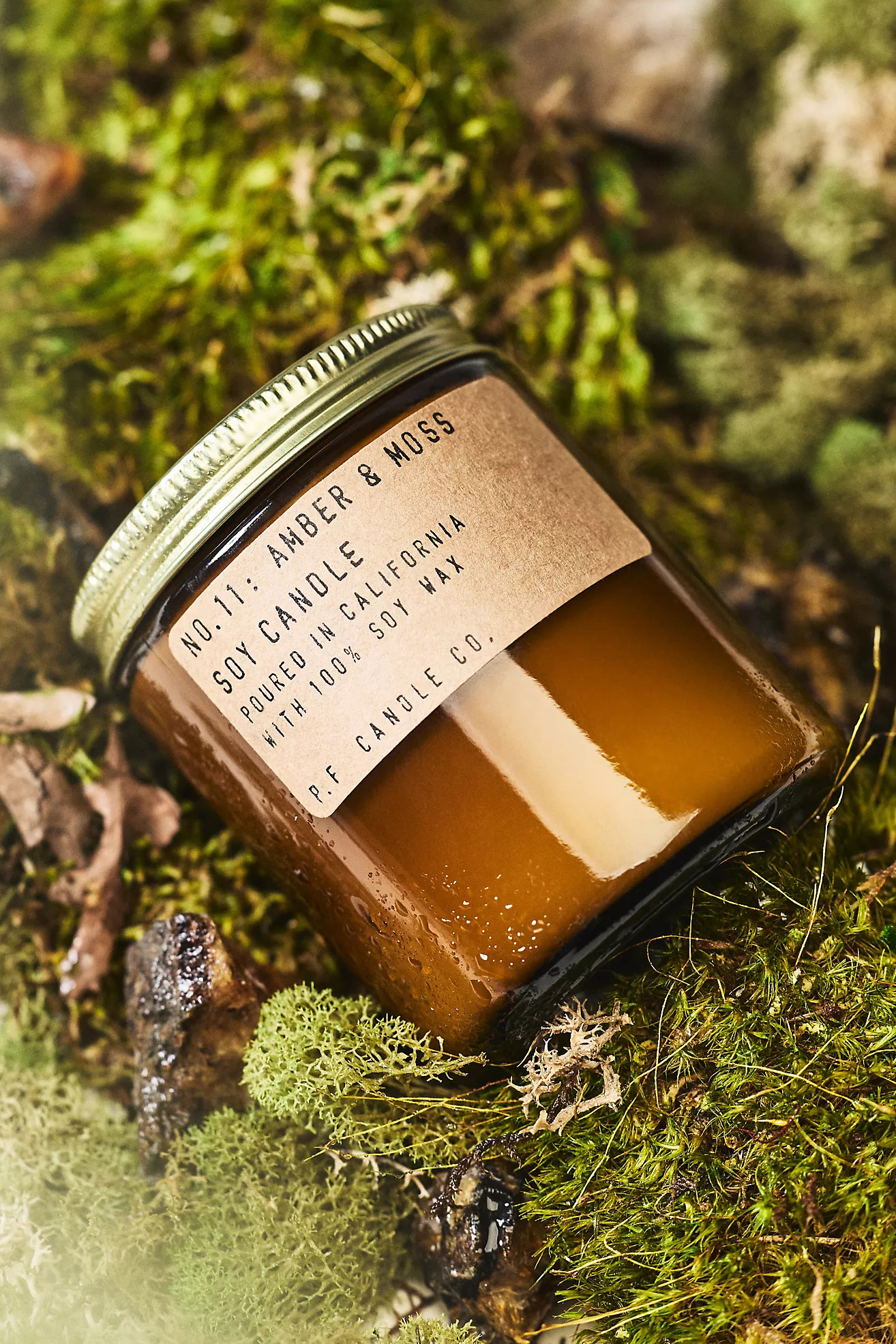 P.F. Candle Co. Woody Amber & Moss Glass Candle | Anthropologie (US)