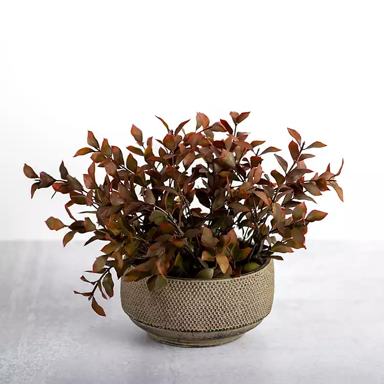 Boxwood Arrangement in Ceramic Pot | Kirkland's Home