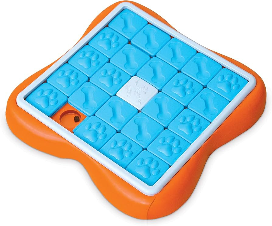 Outward Hound Nina Ottosson Challenge Slider Interactive Treat Puzzle Dog Toy, Advanced | Amazon (US)