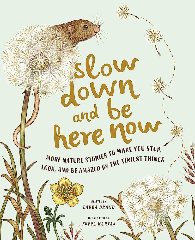 Slow Down and Be Here Now: More Nature Stories to Make You Stop, Look, and Be Amazed by the Tinie... | Amazon (US)