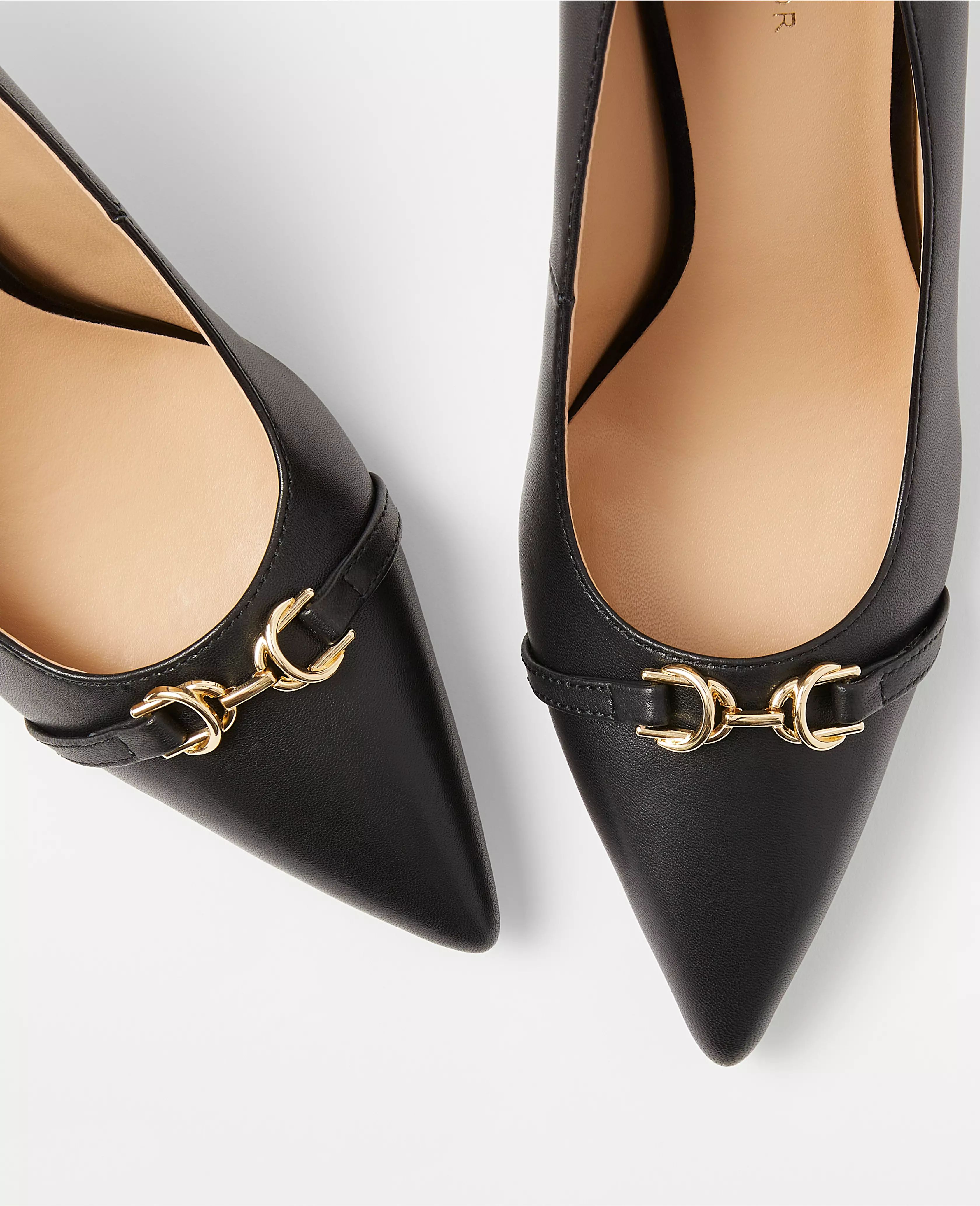 Leather Buckle Pointy Toe Pumps | Ann Taylor (US)