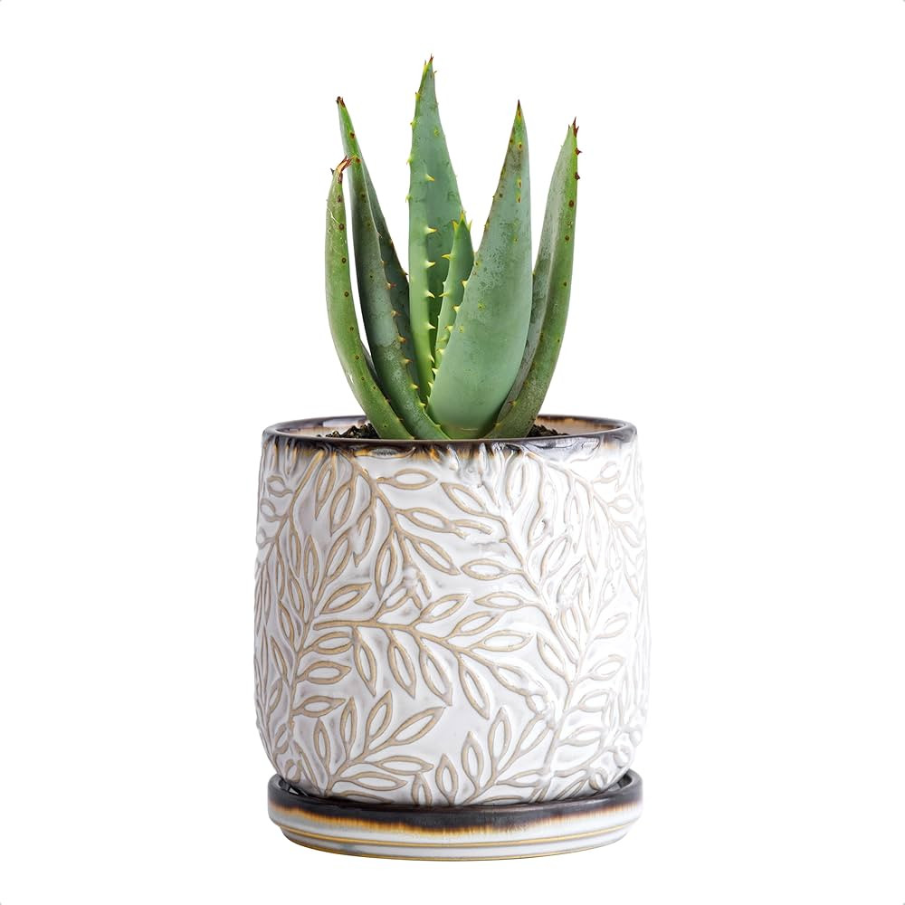 D'vine Dev 4 Inch Embossed Leaves Stoneware Planter Pot with Drainage Hole and Saucer, Smoked Whi... | Amazon (US)