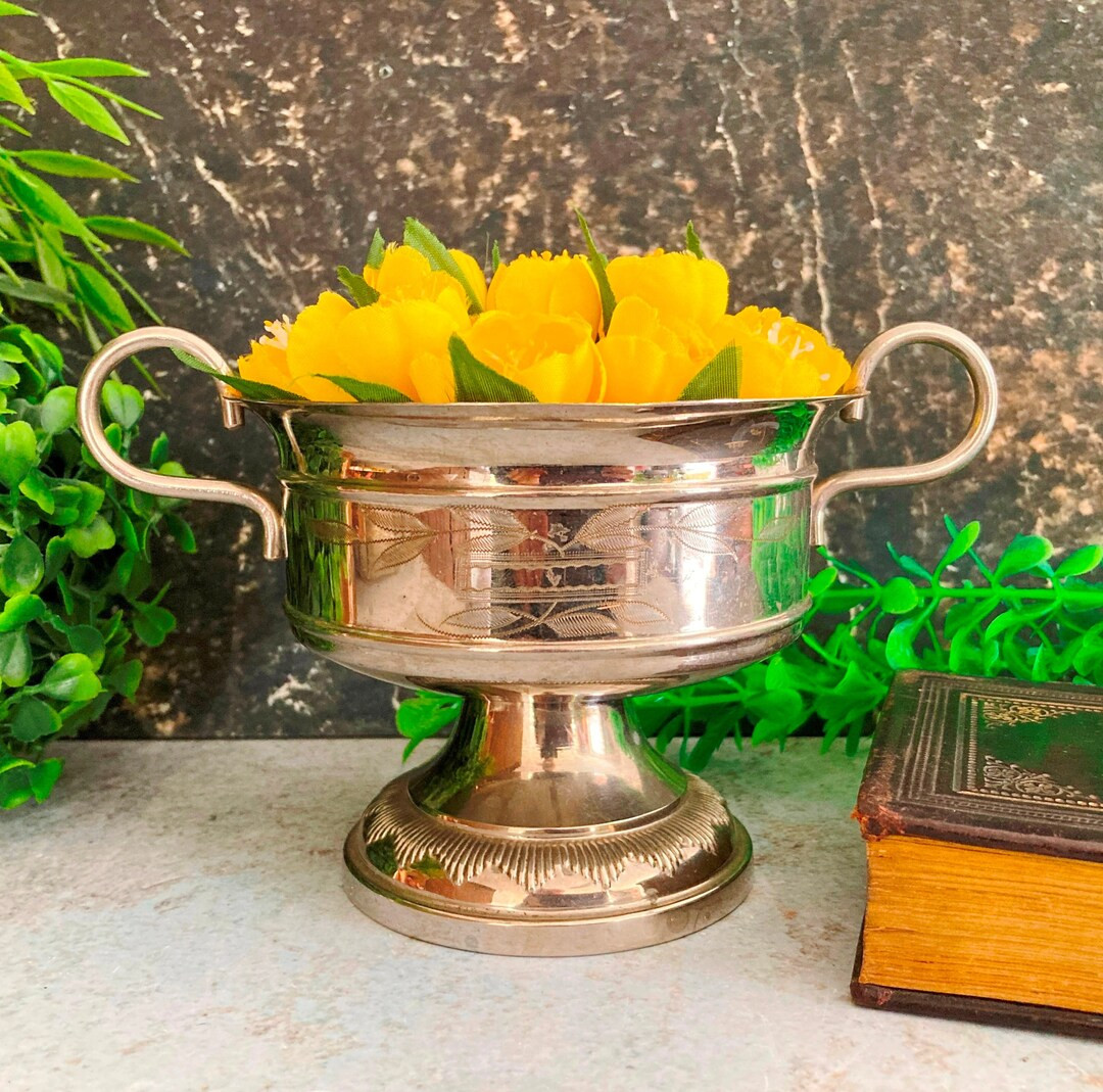 Trophy Cup, Small Vintage Silver Loving Cup, Chromed Metal Sugar Bowl W Handles, Footed Succulent... | Etsy (US)